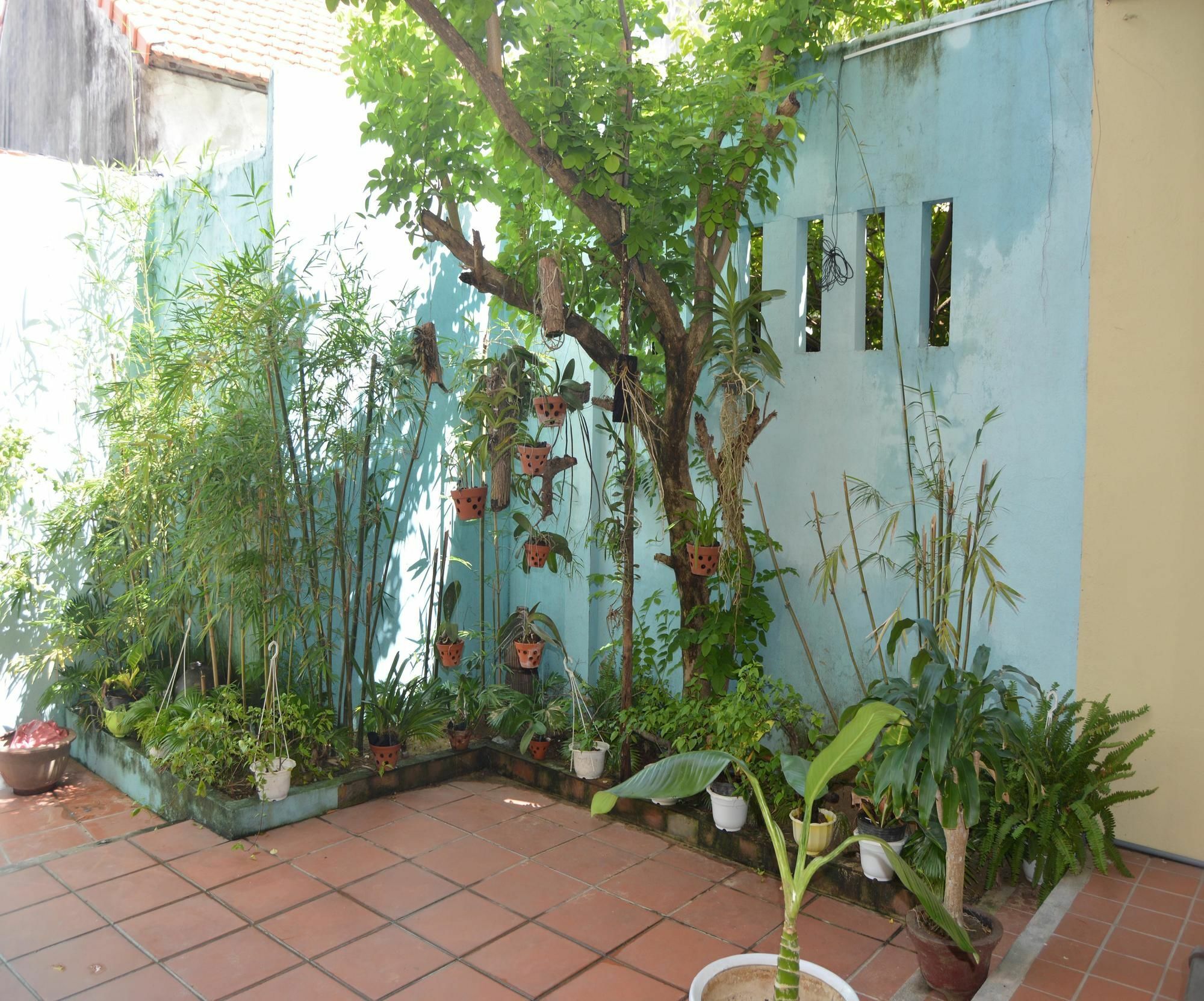 Orchids Homestay Hoi An Luaran gambar